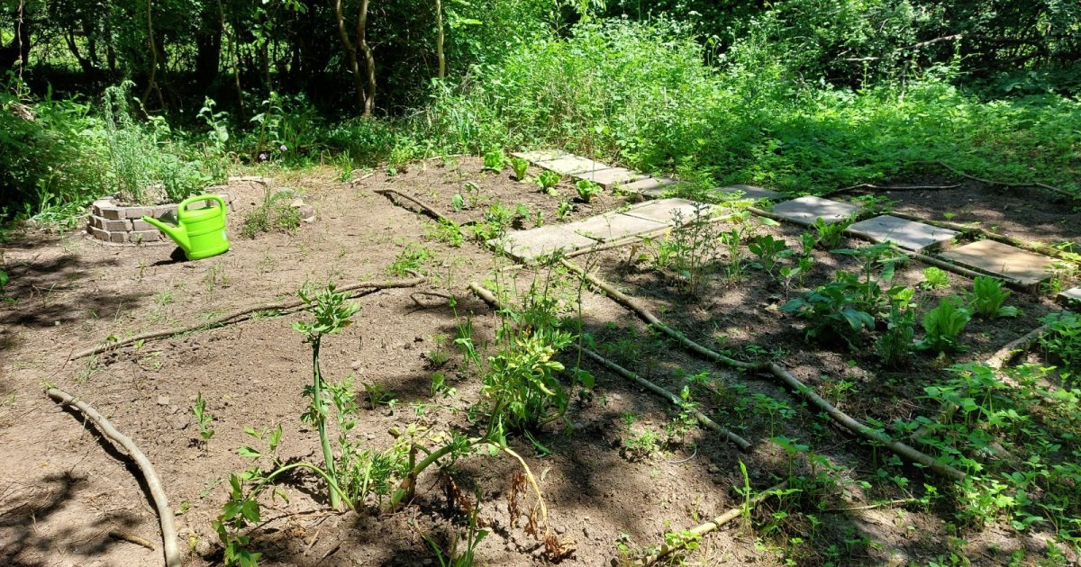 GemeinschaftsGarten SV Homberg (Efze)