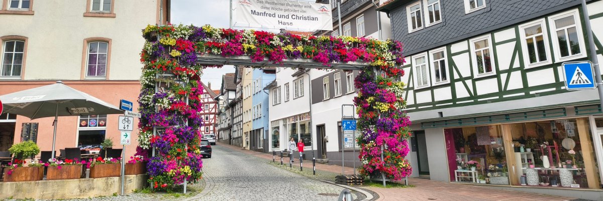 Bild vom Rathaus