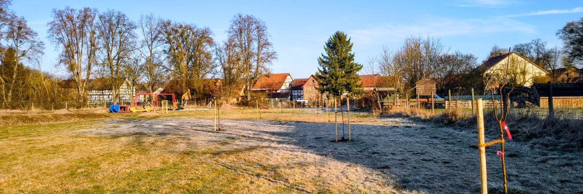 Bild vom Rathaus