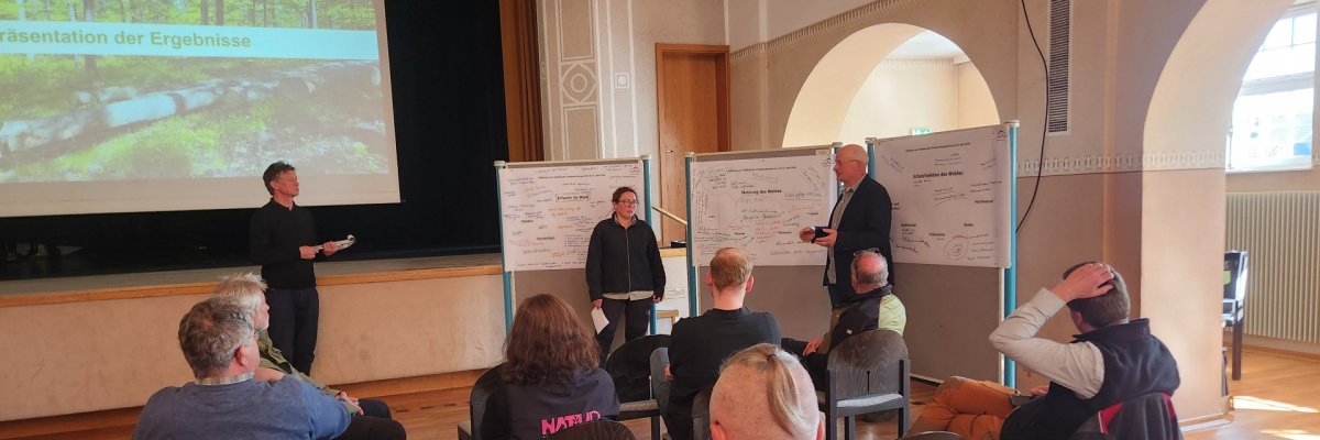 Bild vom Rathaus